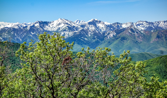 The Wasatch Mountains 6/9/20