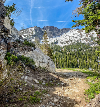 Alta, Catherine's Pass trail 6/20/20