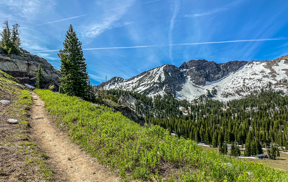 Catherine's Pass trail, Alta 6/20/20