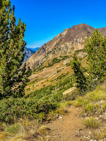 Grizzly Gulch ridge trail 9/5/20