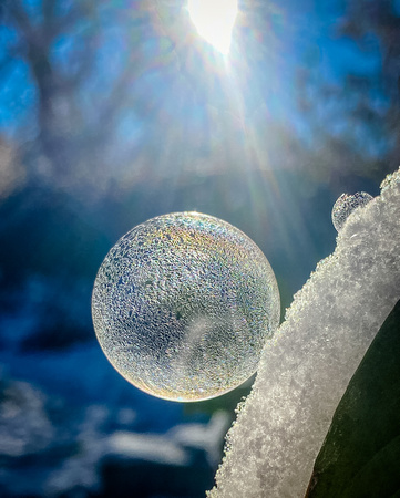 Soap bubble on a leaf. 11/12/20