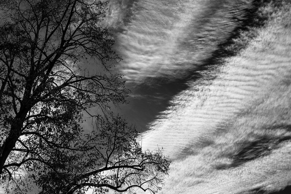 Cloud formation, 11-27-14